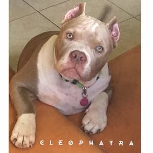 Meet your Posher, Cleophatra